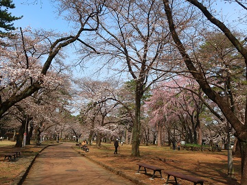 自由広場