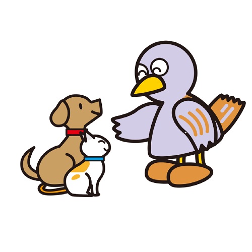 コバトンと犬と猫