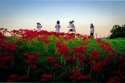 写真：部門A議長賞