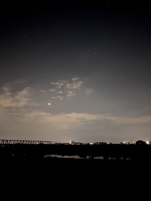 写真：横島さま作品
