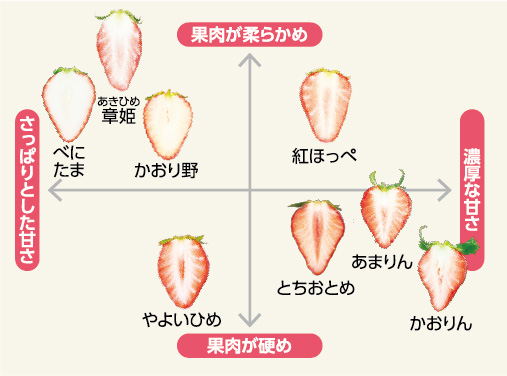 県産いちごのチャート図