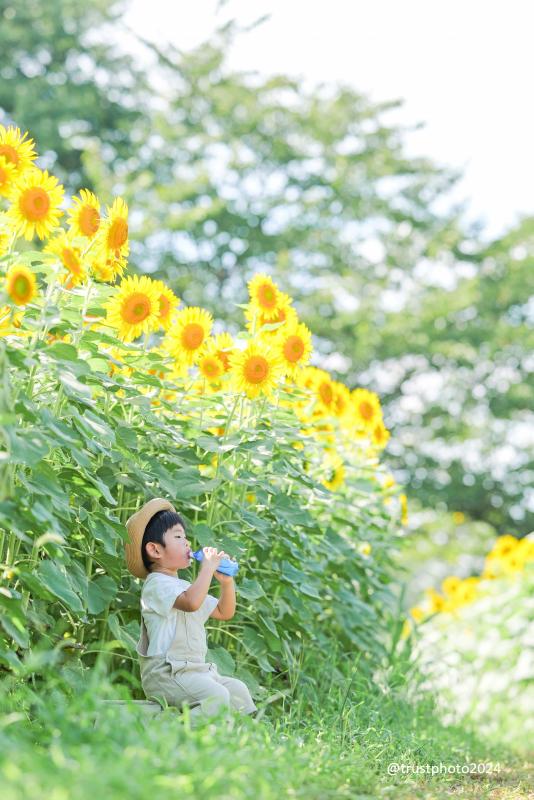 身近な緑インスタ優秀25