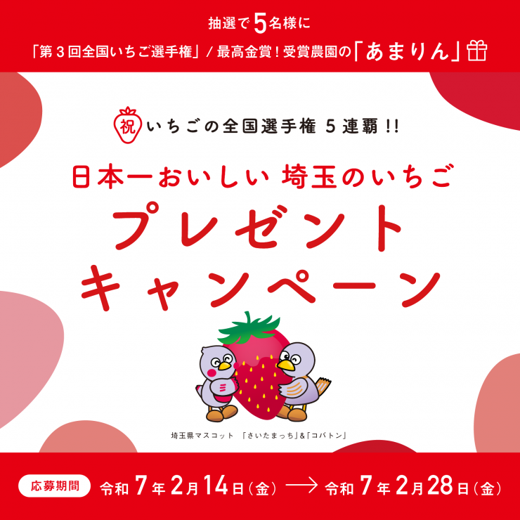 トップ