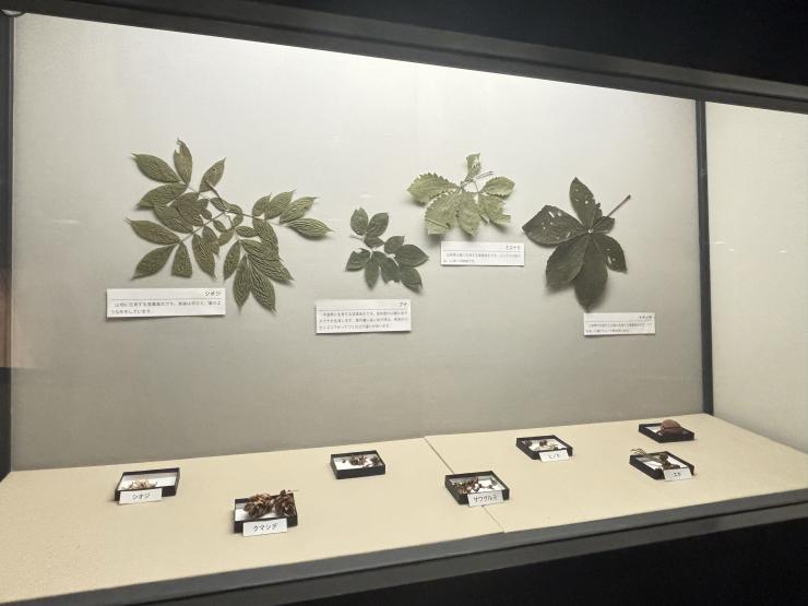 展示2