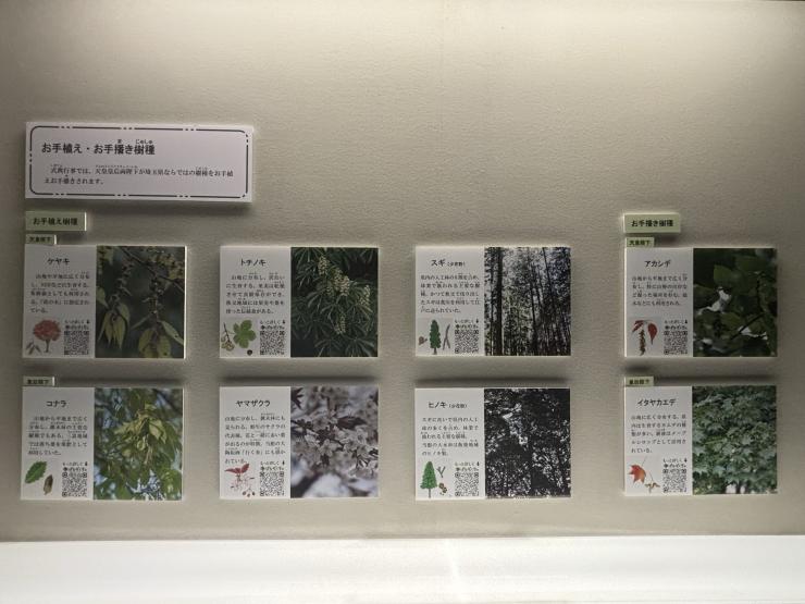 展示3