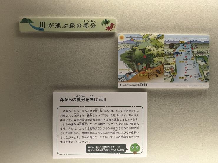 展示4