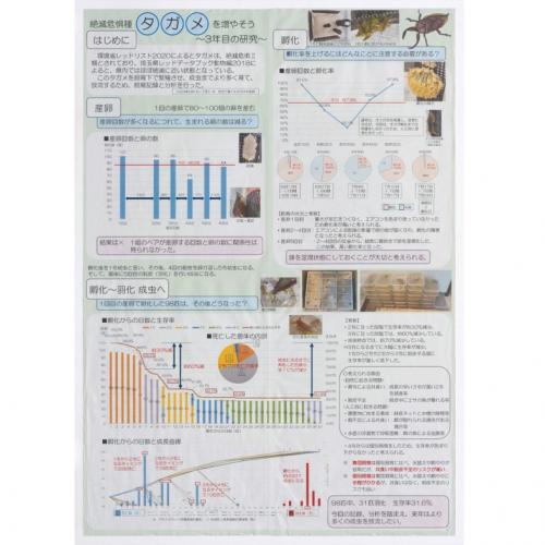 全国入選一席第6部知事賞作品の画像