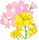 桜と菜の花のイラスト