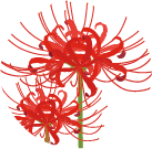 曼殊沙華のイラスト