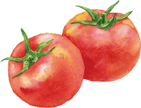 トマトのイラスト