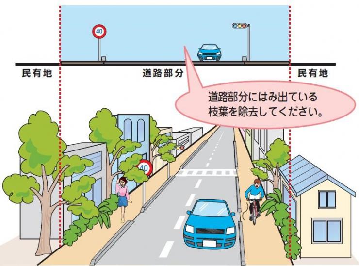 樹木越境