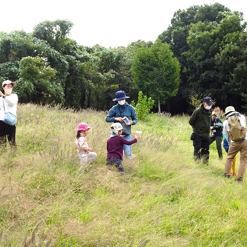 親子ではらっぱで遊ぶ様子の写真