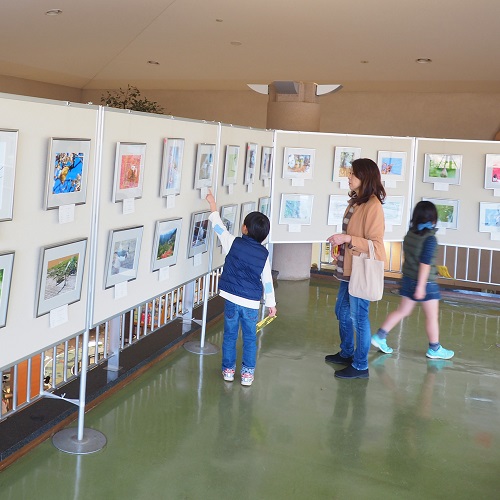 写真展で展示されているものを眺める様子の写真