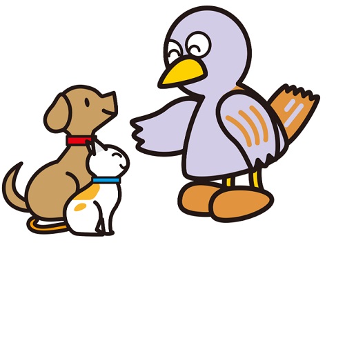 コバトンと犬と猫の画像