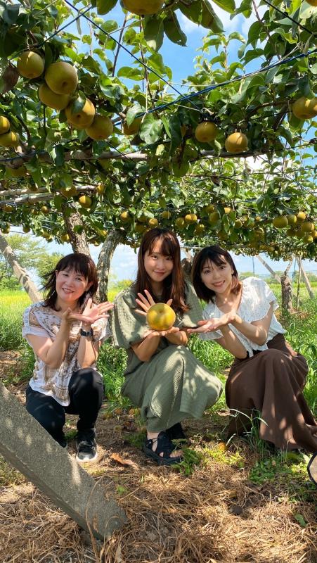 わっしょい大使の活動の様子