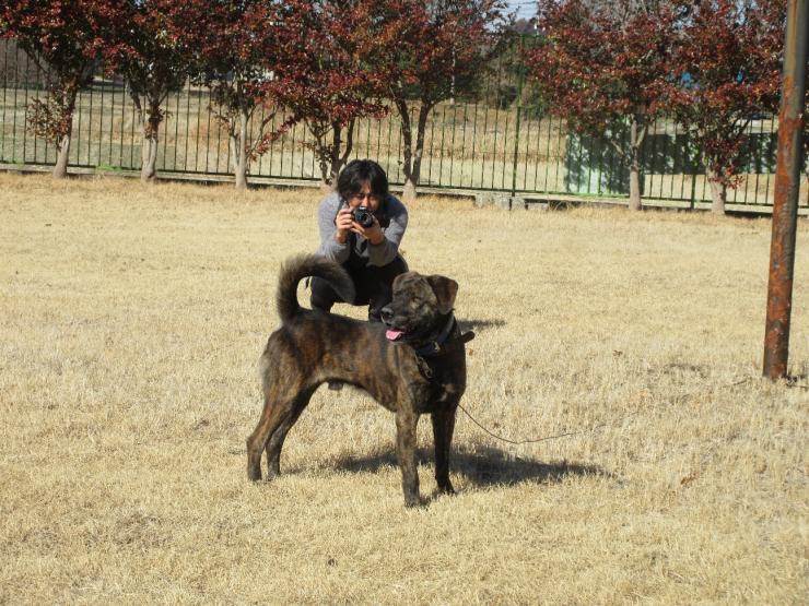 広報用に犬を撮影している様子