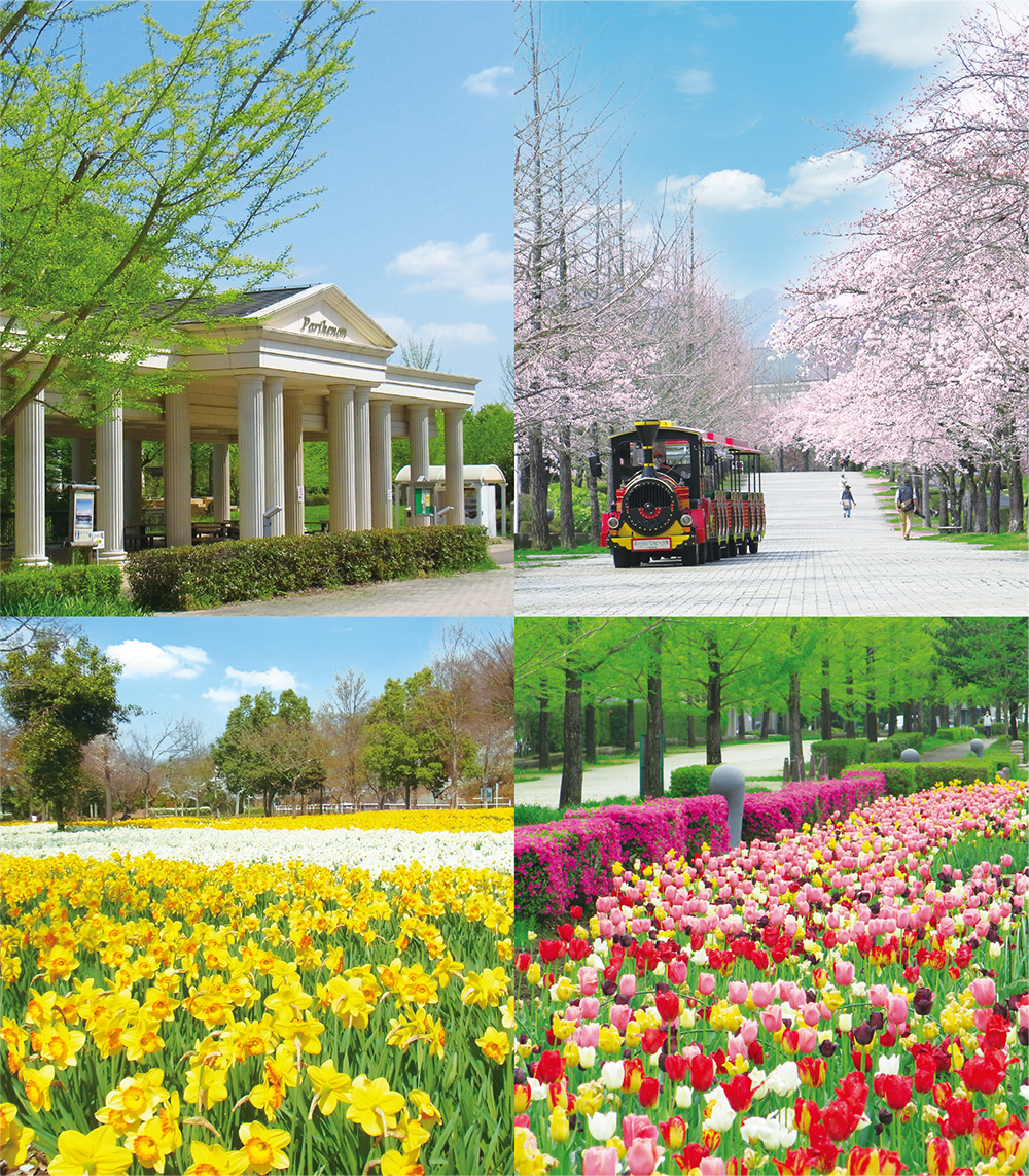 彩の国だより4月号表紙