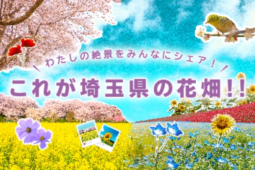 花畑