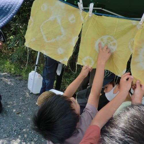 草木染めをしている写真