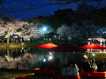 ボートハーバーの夜景