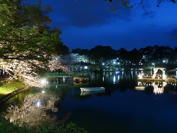 舟遊池の夜景