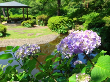四阿の近く