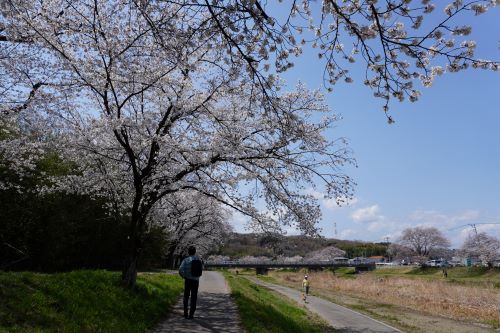 千本桜4