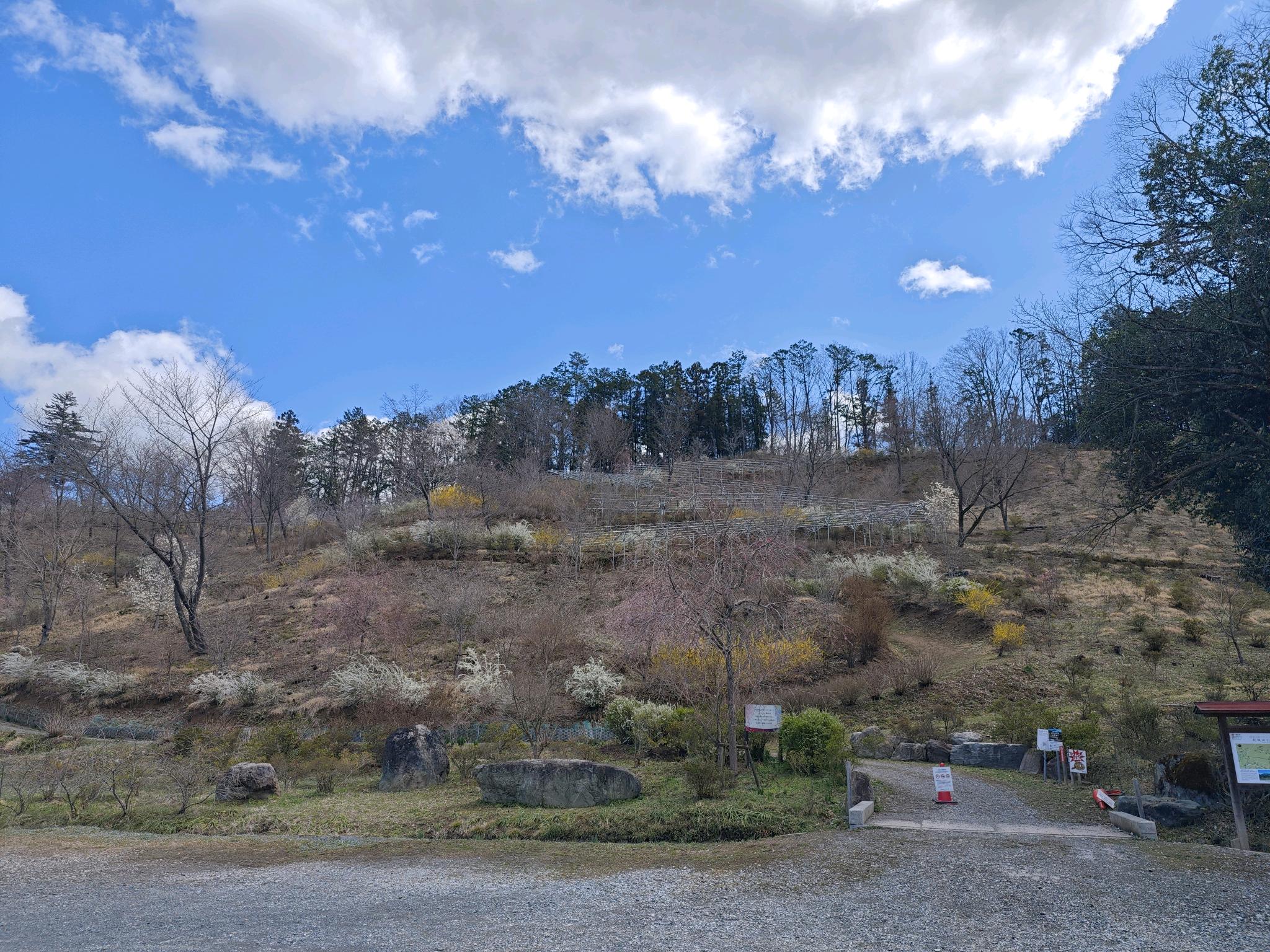 横瀬の自然