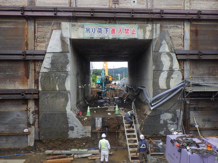 既設架道橋露出状況