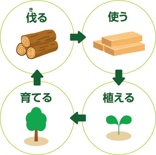木を伐って使って植えて育てるサイクルのイラスト