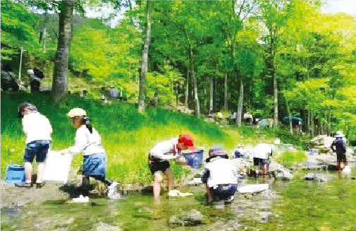 緑の少年団の活動の様子の写真
