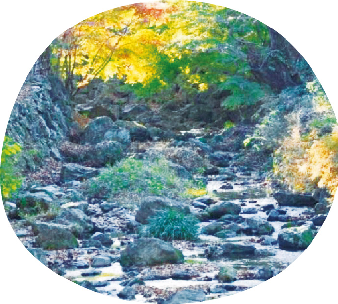 やまと水の森の写真