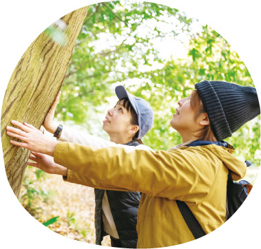きたもと森林セラピーの写真