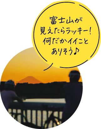 富士山が見えたらラッキー！何だかイイことありそう♪ 夕焼けの富士山を臨む写真
