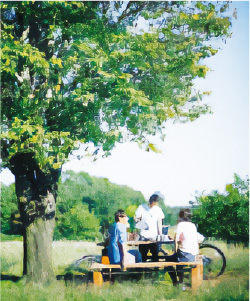 ベンチで一休みしている様子の写真