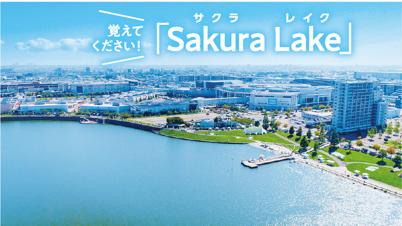覚えてください！「Sakura Lake（サクラ レイク）」 サクラレイクの写真
