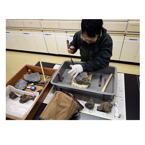 標本制作の様子