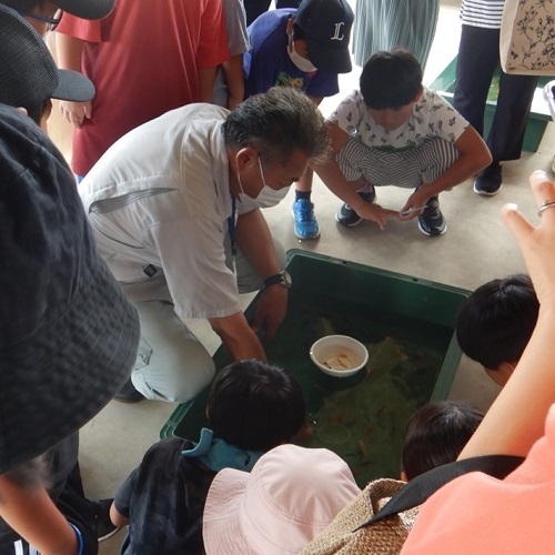 金魚すくいの講習を行っている写真
