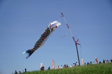maturi