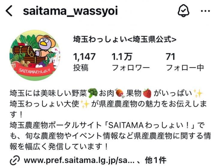 Instagramプロフィール わっしょい