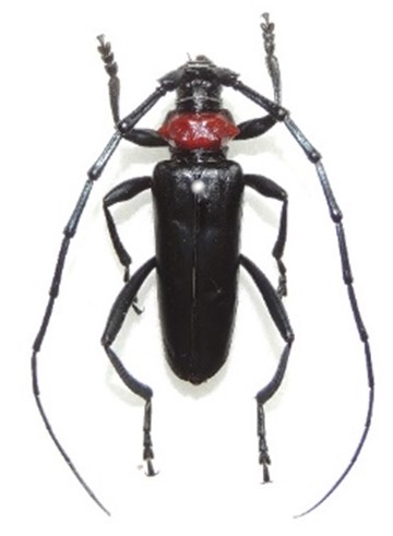Fig2_250523