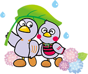 梅雨のコバトンとさいたまっちのイラスト