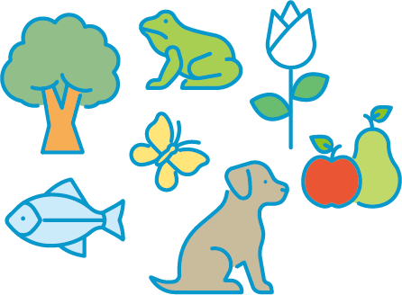 動植物のイラスト
