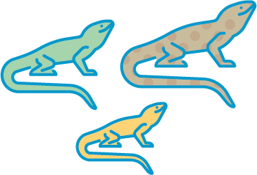 色や模様が違う同じ生き物のイラスト