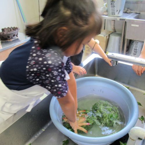草木染めの写真