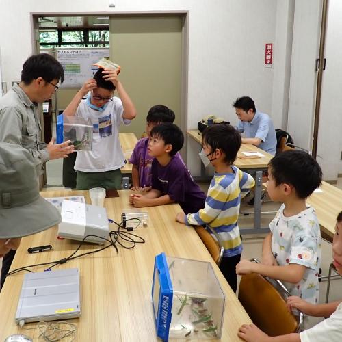 小学生がスタッフから虫の解説を受ける様子の写真