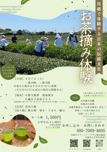 お茶摘み