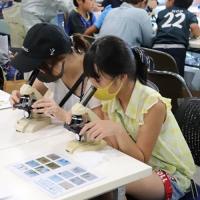 微生物観察をしている様子