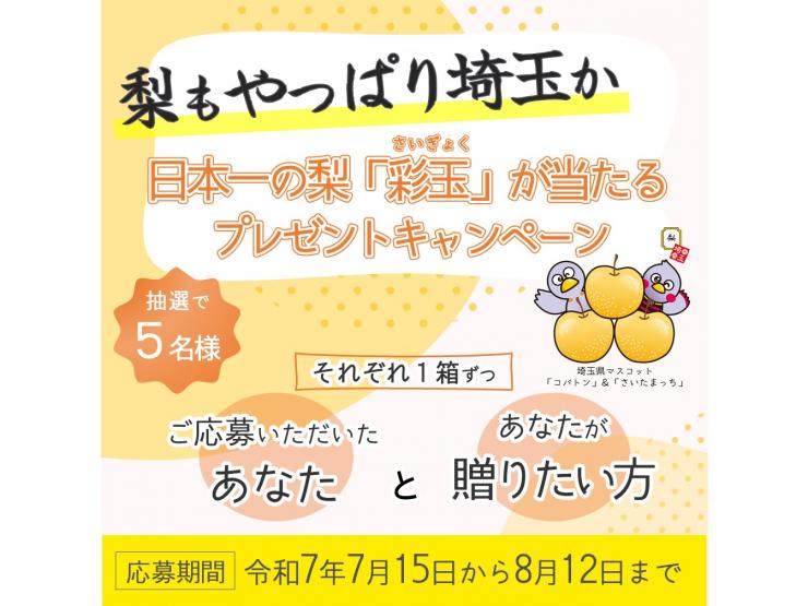トップ