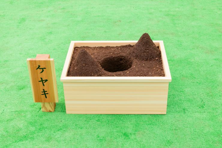 お手植え箱